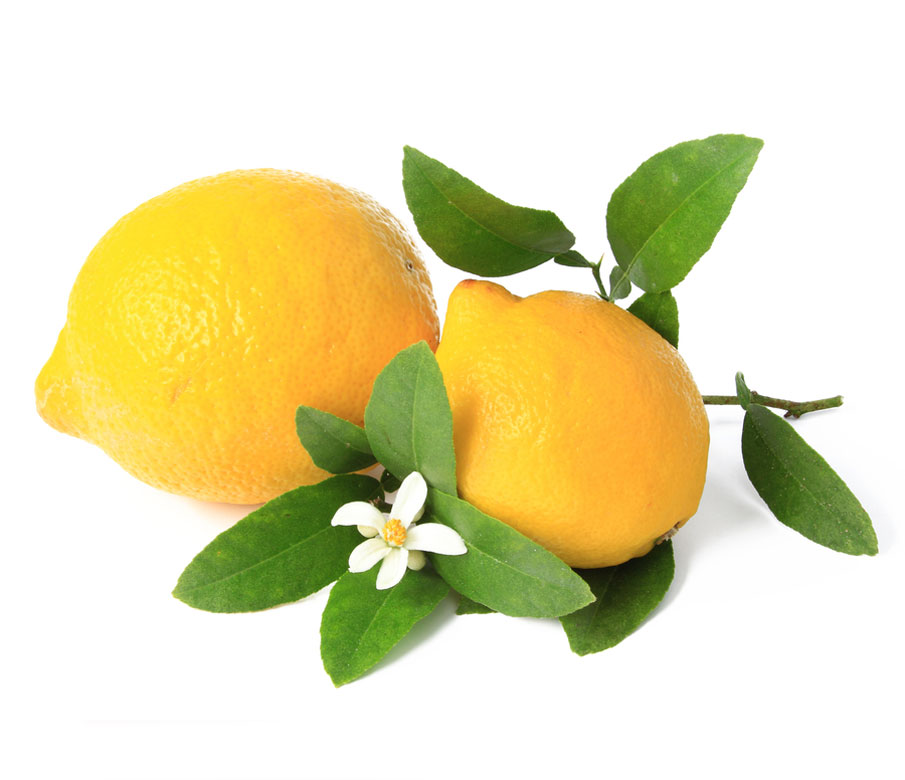 نهال لیمو ترش سنگی جنوب 